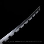 Katana Kensei Nichirin – Inosuke Hashibira - Imagen 5