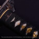 Ninja Tō Kensei Kageryū - Imagen 5