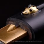 Shirasaya Kensei Tentōmushi - Imagen 5