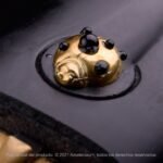 Shirasaya Kensei Tentōmushi - Imagen 2