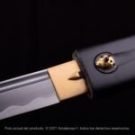 Shirasaya Kensei Tentōmushi - Imagen 6