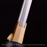 Shirasaya Kensei Tentōmushi - Imagen 8