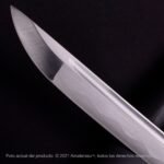 Shirasaya Kensei Tentōmushi - Imagen 9