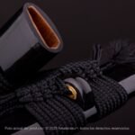 Katana Kensei Wareta - Imagen 8