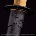 Naginata Kensei Hana - Imagen 6