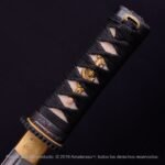 Tantō Hamidashi Kensei Tora - Imagen 4