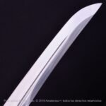 Tantō Hamidashi Kensei Tora - Imagen 8