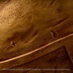 Escudo Espartano 300 - Imagen 3