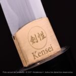 Tanto Kensei Aikuchi Amaya - Imagen 5